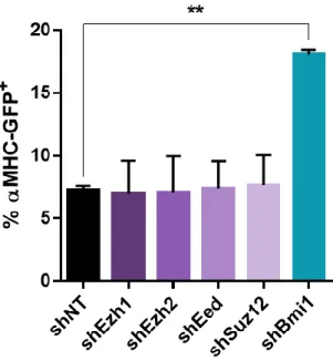 Figure 3.2. Silencing subunits of the PRC2 does not increase reprogramming. Reprogramming efficiency  quantified by flow cytometry for αMHC-GFP at reprogramming D11 and expressed as the percentage of  cTnT+ cells