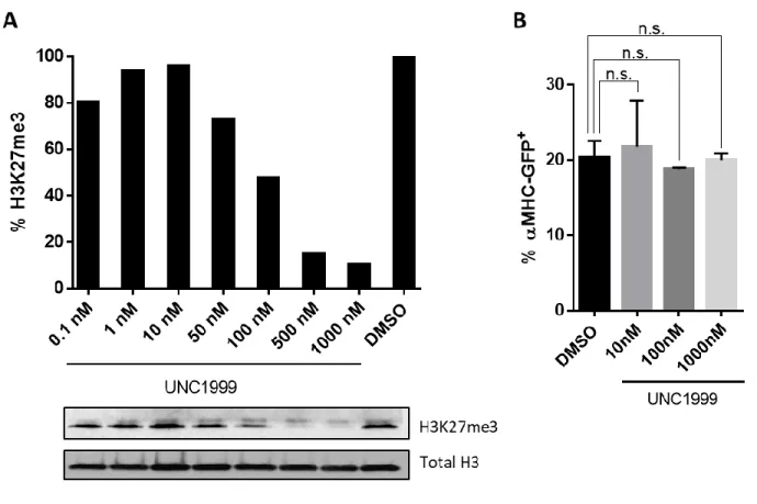 Figure 3.4. Pharmacological inhibition of PRC2 catalytic activity does not increase reprogramming
