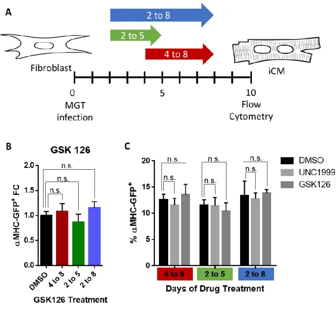 Figure 3.6. Pharmacological inhibition of Ezh2 does not enhance reprogramming. A) Schematic of the  experiment design