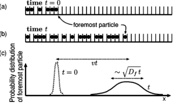 FIG. 1. 共a兲 The type of initial condition we consider for our stochastic model. 共b兲 Illustration of a typical snapshot of the state of the system at finite time