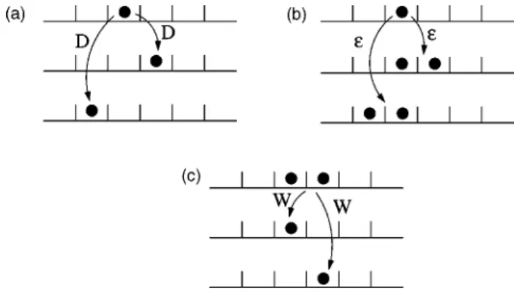 FIG. 2. The microscopic processes that take place inside the system: 共a兲 a diffusive hop with rate D to a neighboring empty site;