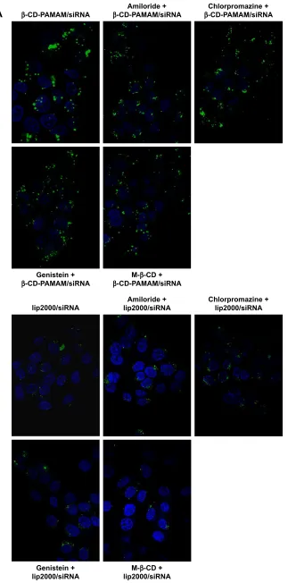 Figure 3 (Continued)