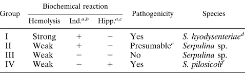 TABLE 5. Pathogenicity, species names, and classiﬁcation bybiochemical reactions of porcine Serpulina strains