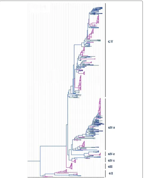 Fig. 2 Phylogenetic analysis of CV-A16 from Japan. The scale is in units of evolutionary time in years
