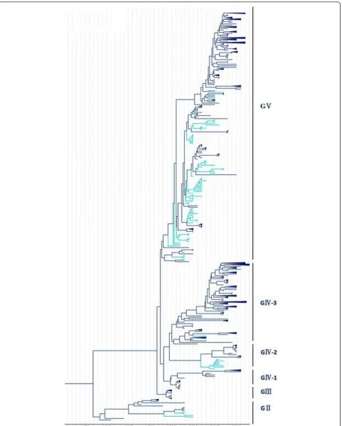 Fig. 3 Phylogenetic analysis of CV-A16 from Malaysia. The scale is in units of evolutionary time in years