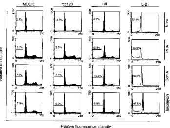 FIG. 4. Quantitative analysis of particle-associated HIV-1 proteins. (A)Threefold serial dilutions of L-2 or LAI particles were subjected to Western blot