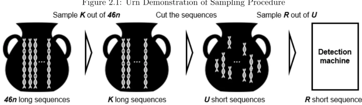 Figure 2.1: Urn Demonstration of Sampling Procedure