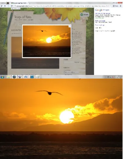 Figure 9: Comparison of Searched and Extracted Image.