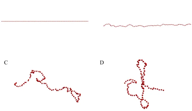 Figure 1.2: Simulated free-floating linear polymer chain 