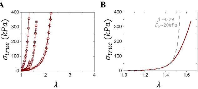 Figure 3.1: Characterizing tissue’s mechanical properties. (A) Stress-strain curves of various  tissues including fetal membrane (squares), 7  lens capsule (circles), 24  muscle (triangle) 25  and pig  belly (diamonds)