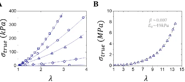 Figure 3.6: Characterizing gel’s mechanical properties. (A) Stress-strain curves of various  gels including PEDOT/PSS (squares), 37  PVA-PAAM (circles), 38  PAAM-PAAc (triangles),  39 Polyrotaxane (diamonds)  40  and a clay nanocomposite (hexagons)