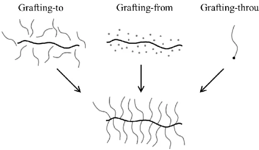 Figure 4.1: Different pathways to brushes. Grafting well defined side chains to brush 