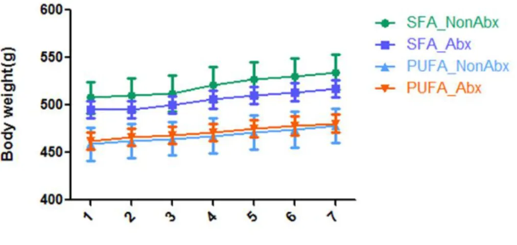 Figure 10 Effect of different diet intervention ± antibiotic treatment on rats’ body weight    32 7-week-old Sprague Dawley male rats were randomized to two diet groups: SFA diet group  (n=16) and PUFA diet group (n=16) for 36 days