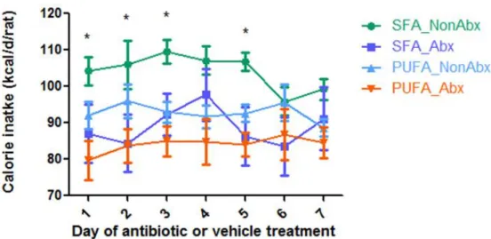 Figure 11 Effect of different diet intervention ± antibiotic treatment on rats’ food intake    32 7-week-old Sprague Dawley male rats were randomized to two diet groups: SFA diet group  (n=16) and PUFA diet group (n=16) for 36 days