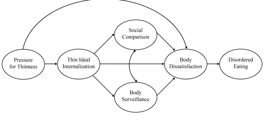Figure 1. An elaborated version of Stice’s (1994) sociocultural model of disordered eating