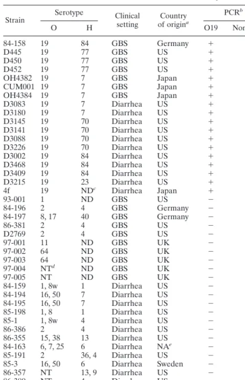 TABLE 1. Bacterial strains used in this study