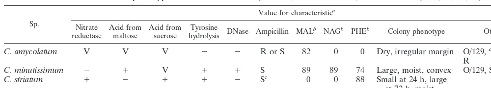 TABLE 2. Differential phenotypic characteristics of C. amycolatum, C. minutissimum, and C