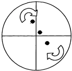 Figure 2.9 -  Phase reticle FTI at the detector plane