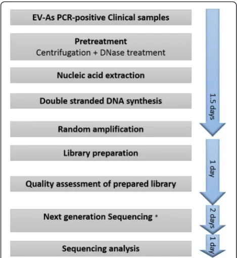 Fig. 1 Flowchart showing an overview of the whole procedure ofrPCR-Miseq based assay. Note: * the turn-around time may vary,especially when using service platform, which may take morethan 2 days