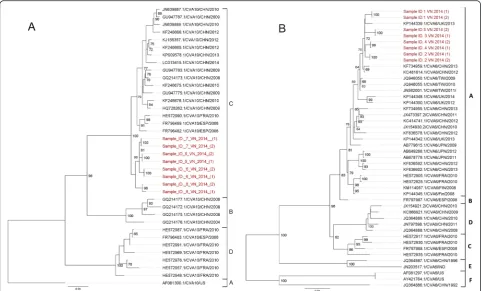 Fig. 4 The Maximum likelihood phylogenetic trees based on completed VP1 nucleotide sequences obtained in this study and representatives of(915 nt) of CV-A6 strains (VP1 sequences retrieved from GenBank