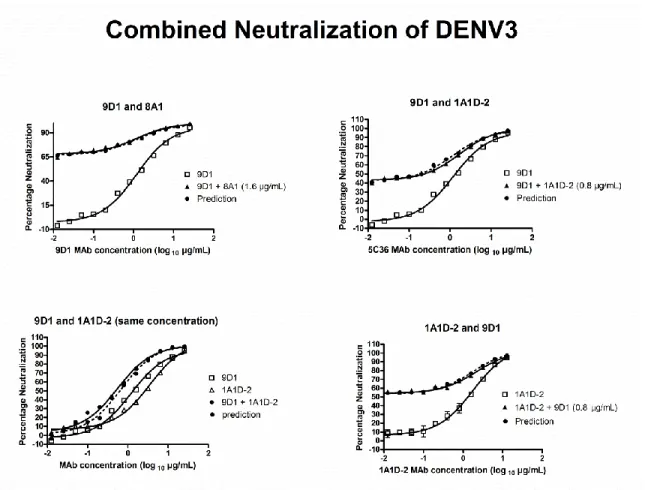 Figure 4.1: Combined Neutralization of DENV by Two MAbs.  A) Combined 