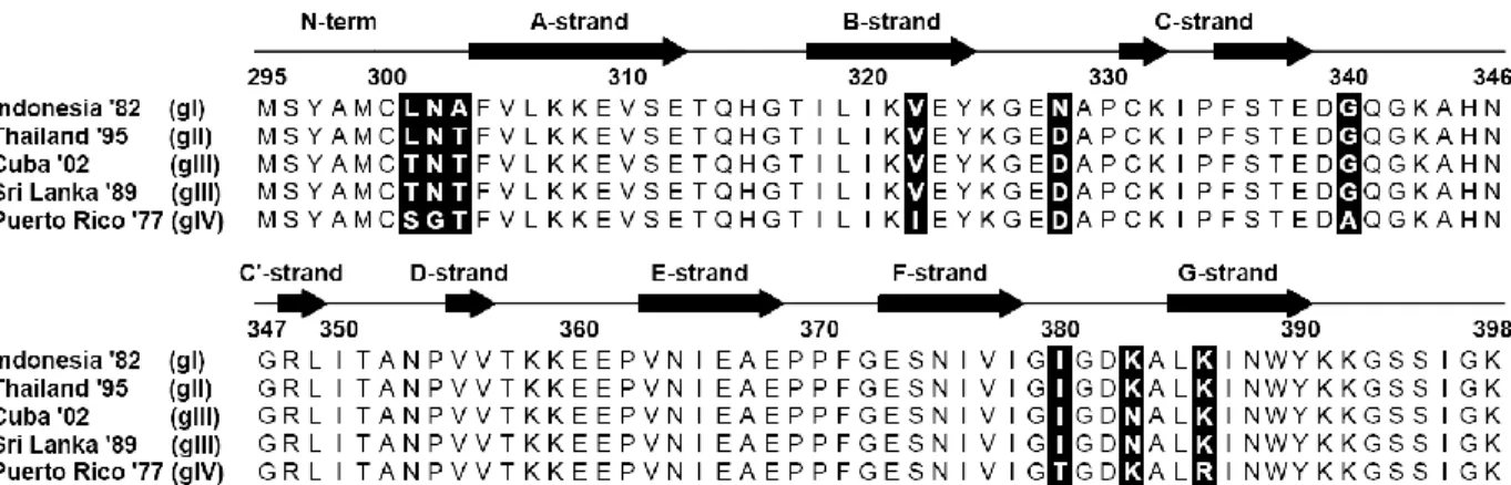 Figure 5.1: A) Cartoon of DENV3 EDIII. Lateral ridge EDIII variable sites for the  recombinant clones are color labeled: 301 and 383 (red); 302, 303, 329, 380 and 386  (green)
