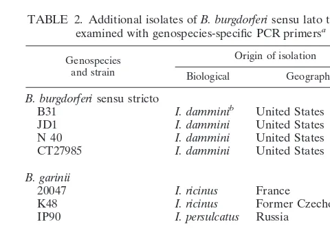 TABLE 2. Additional isolates of B. burgdorferi sensu lato that wereexamined with genospecies-speciﬁc PCR primersa