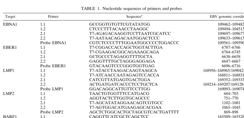 FIG. 1. Schematic representations of different types of EBV transcripts andlocalization of NASBA primers