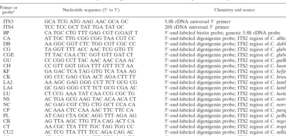 TABLE 1. Synthetic oligonucleotides used in PCR and hybridization analyses