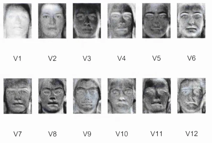 Figure 2.5- the first 12 eigenfaces of a database of 80 images