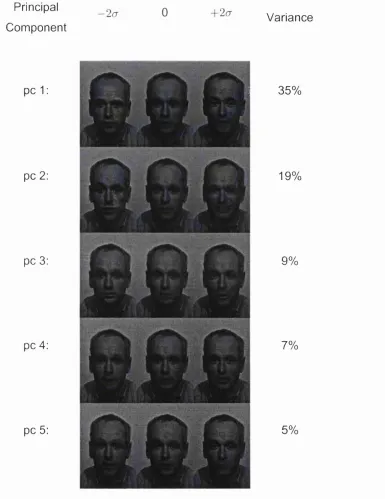 Figure 4.3 -  First five principal components from a sequence of facial motion vectorisedas pixel-wise intensity variations (267 frames at 160x240 pixels resolution)