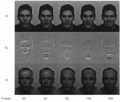 Figure 6.1 -  a) Selected frames from a sequence of facial motion (185 frames at 160x240 pixels resolution); b) frames from (a) encoded as pixel-wise luminance deviations from the mean (rescaled so mid-level grey is zero); c) frames from (b) added to a sec