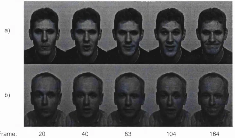 Figure 6.2 -  Pixel-wise intensity vectorisation results: a) Selected frames from a 