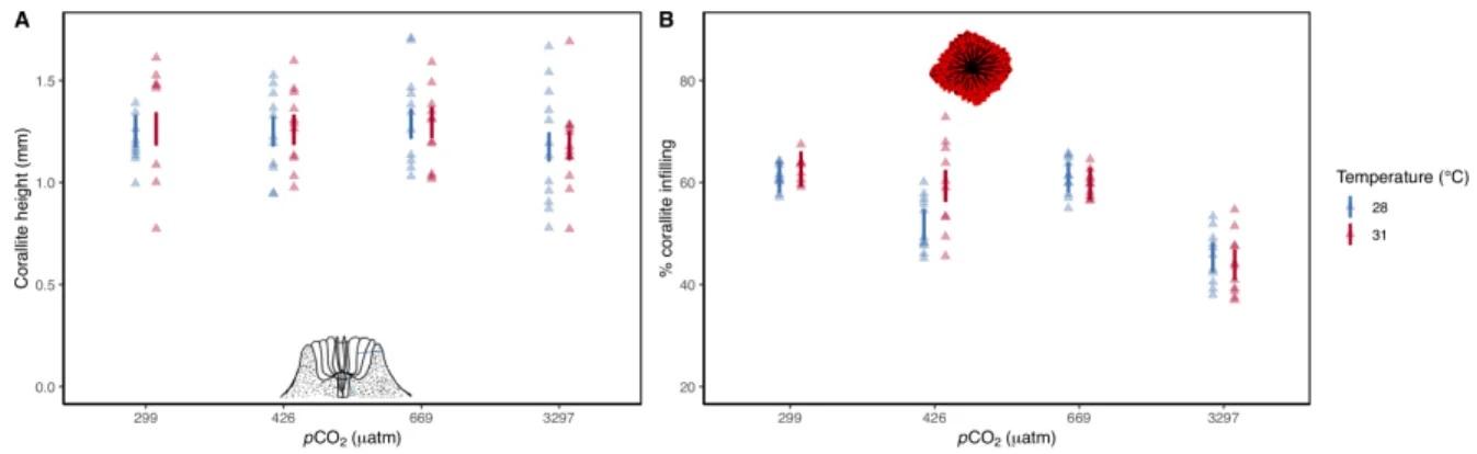 Figure 4.3 Corallite height and infilling in response to temperature and pCO 2
