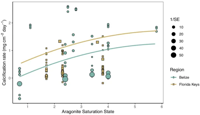 Figure 1.5 Magnitude analysis of aragonite saturation state on calcification rates  Mean calcification rate (mg cm −2  day −1 ) of corals from each acidification study by treatment  aragonite saturation state (Ω Arag ) with the linear mixed effects model q