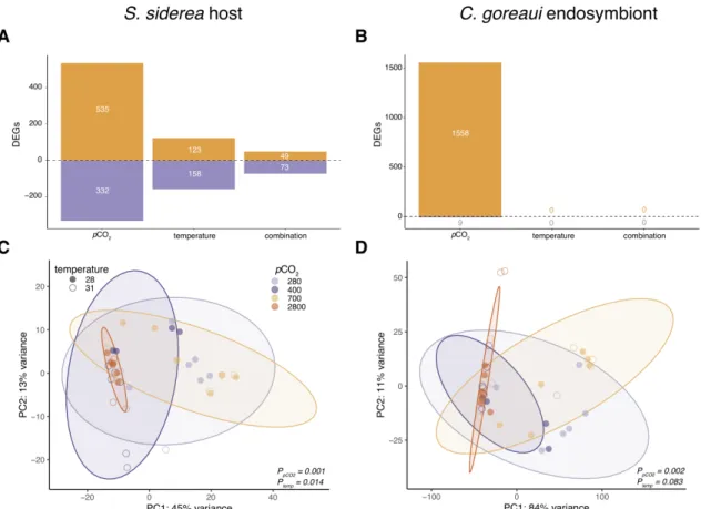Figure 3.3 Siderastrea siderea host and algal endosymbiont gene expression 