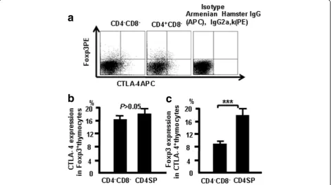 Fig. 3 CTLA-4 expression correlates with Foxp3 expression in thymocytes. Cells were stained as in Fig