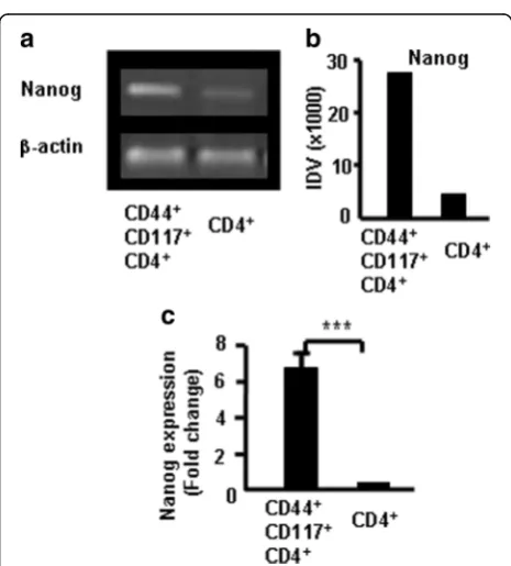 Fig. 6 CTLA-4 correlates with CD44 expression in different populations of CD117-positive thymocytes