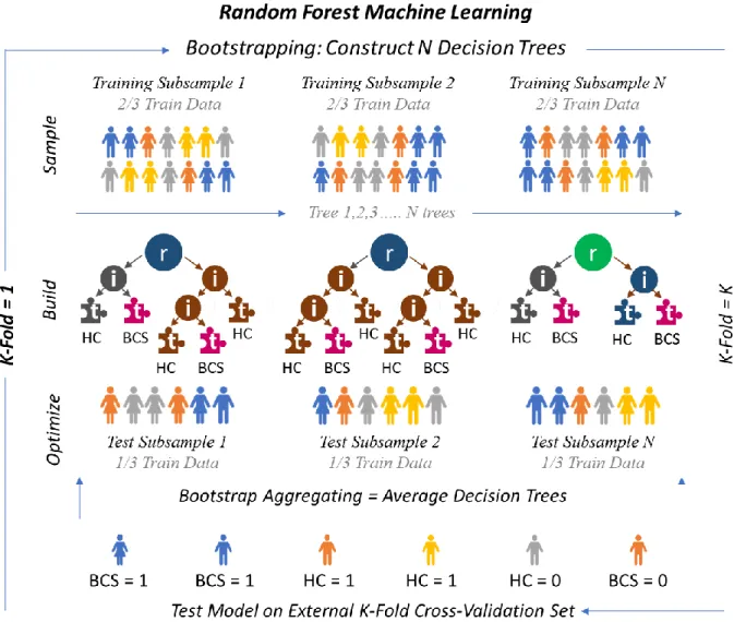 Figure 3. Random forest model.  Prior to constructing the random forest, a dataset is partitioned into  training and test sets