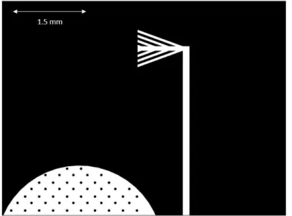 Figure 3.5 Waste Collection Channel Design: Characteristic cell  waste collection network 