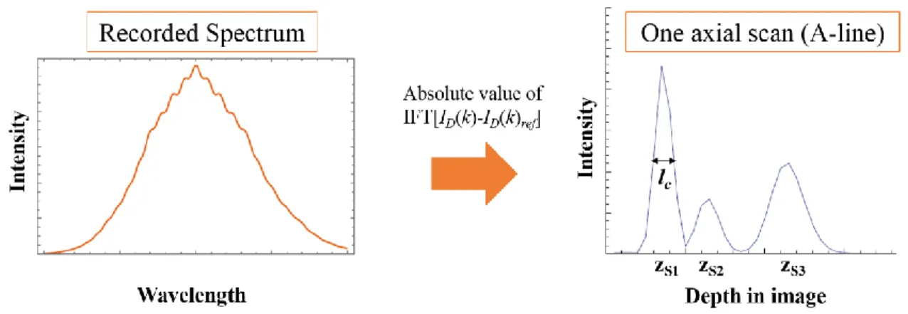 Figure 2-2 Illustration of A-line reconstruction in SD-OCT.  