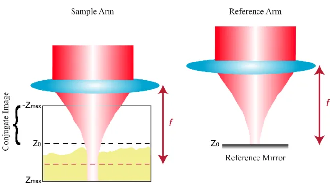 Figure 2-12 Sample Arm Setup. 
