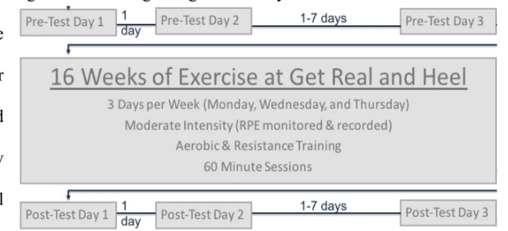 Figure  1.  Overall  experimental  timeline:  including  3  days  of  pre-training exercise testing, 16 weeks of combined aerobic and  resistance training, and then 3 days of post-training exercise