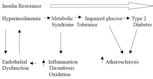 Figure 1.1: Insulin Resistance Increases with Disease State. Progression of severity of insulin  resistance and the associated diagnoses with their associated macrovascular symptoms [5]