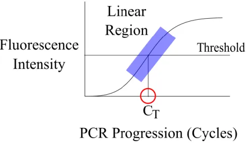 Figure 2.2: Amplification Plot with Linear Amplification Region,  Threshold, and C T.