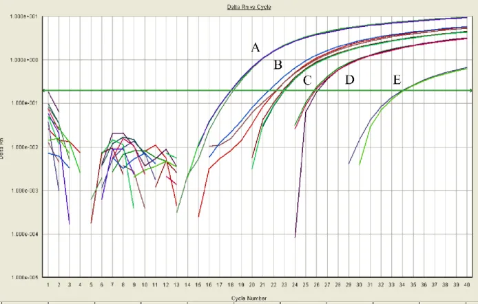 Figure 2.5 compares dissociation curves from ACTB samples to those from IL-6, which does not  display primer-dimer formation