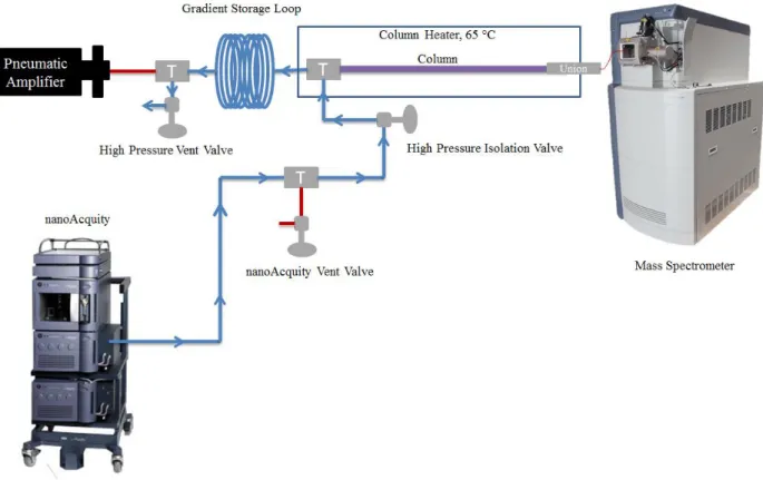 Figure 3.4  Gradient and sample loading configuration for UHPLC analysis.  The commercial  system loads the gradient (in reverse) followed by the sample into the gradient storage loop