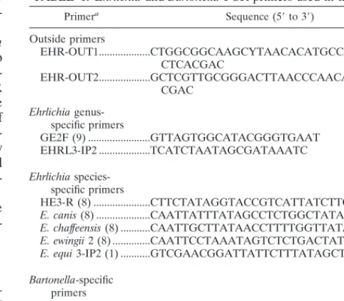 TABLE 1. Ehrlichia and Bartonella PCR primers used in this study