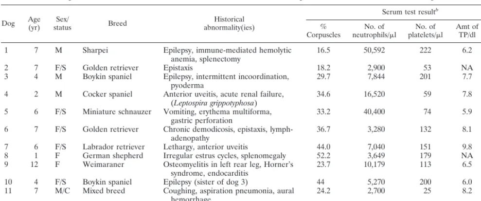 TABLE 3. Comparative seroreactivities to three E. canis isolates, E. chaffeensis, E. ristici, E