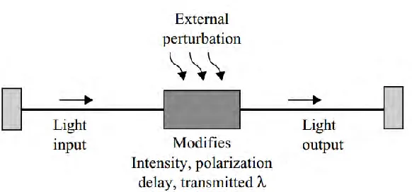 Figure 2.2 Schematic of a fibre optic sensing system 
